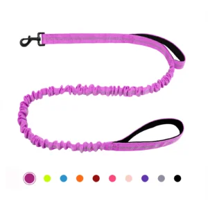 Retractable Bungee Dog Leash